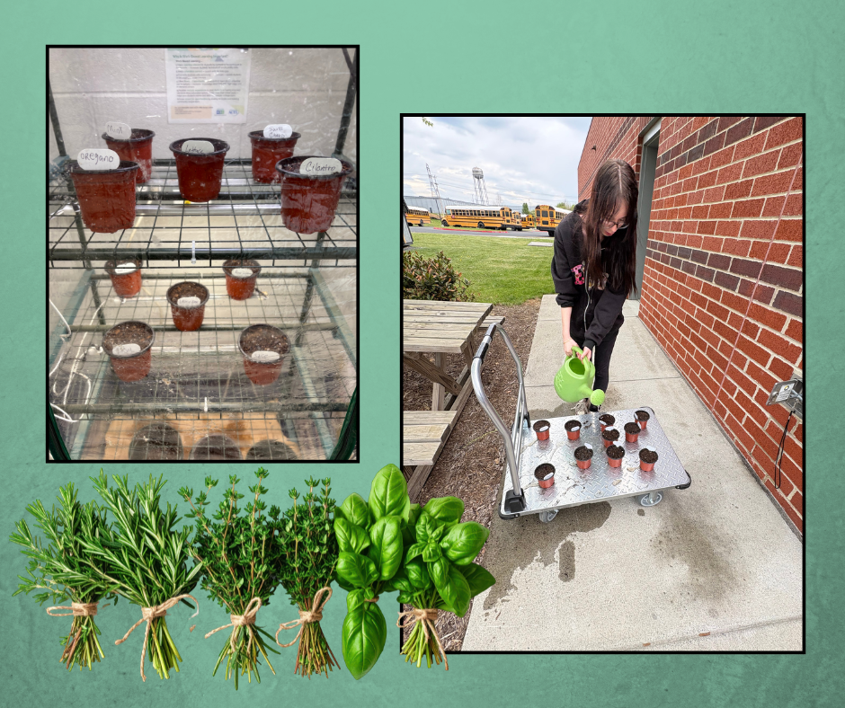 A collage with two images. One image shows plants in pots on a metal cart. Another shows a person watering plants outside a brick building.
