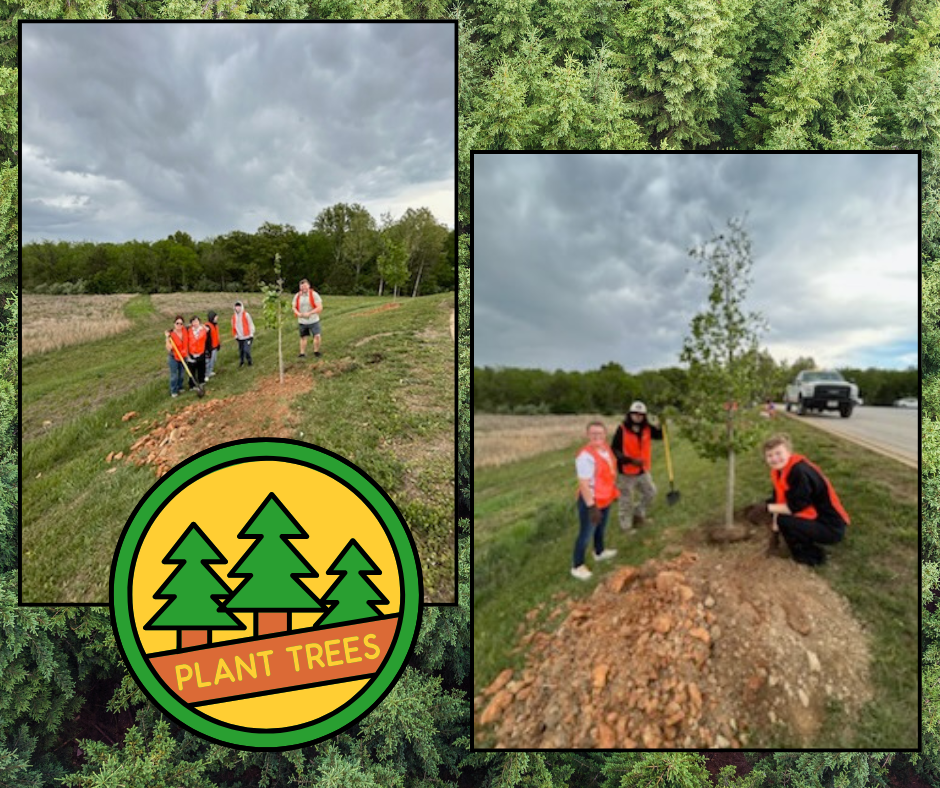 Two photos of people planting trees. One group stands in a field, another plants a sapling. Both wear orange vests.