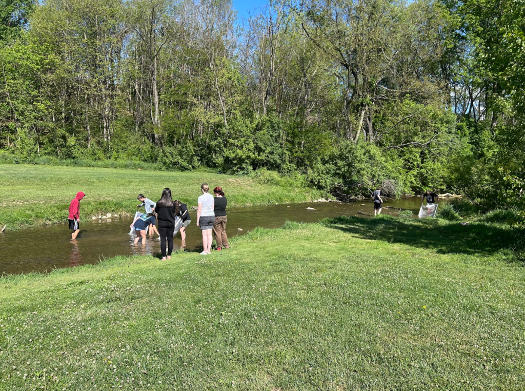 A group of people in a grassy area by a stream, some using nets to catch fish.