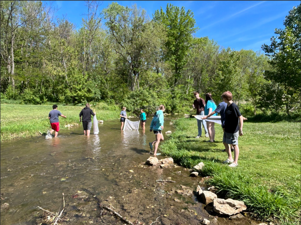 A group of people in a grassy area by a stream, some using nets to catch fish.