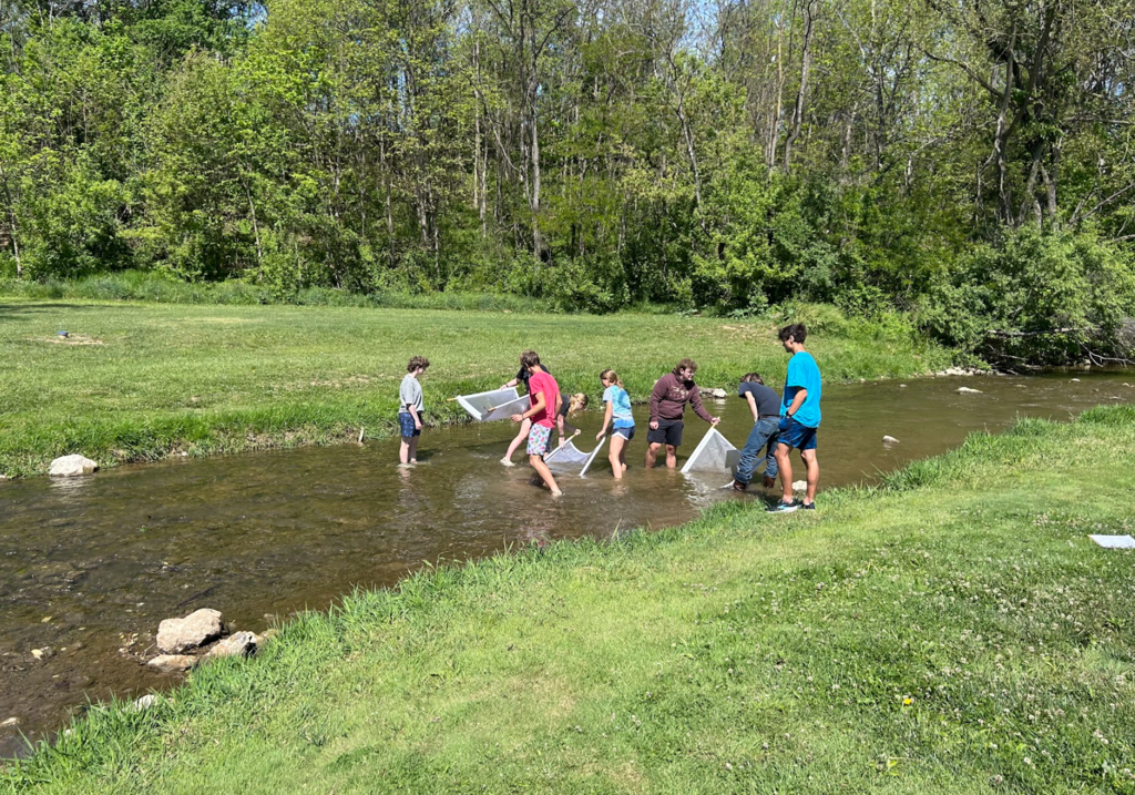 A group of people in a grassy area by a stream, some using nets to catch fish.
