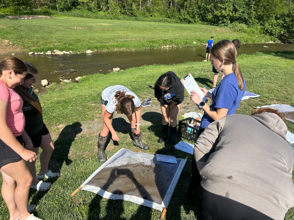 A group of people in a grassy area by a stream, some using nets to catch fish.