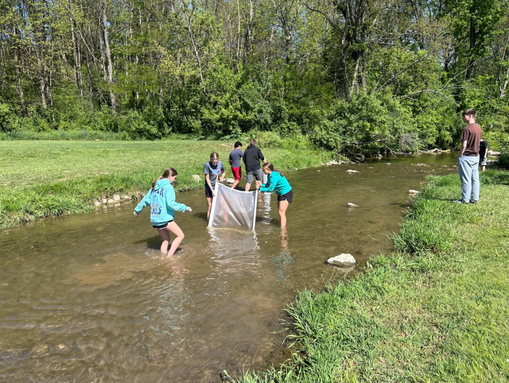 A group of people in a grassy area by a stream, some using nets to catch fish.