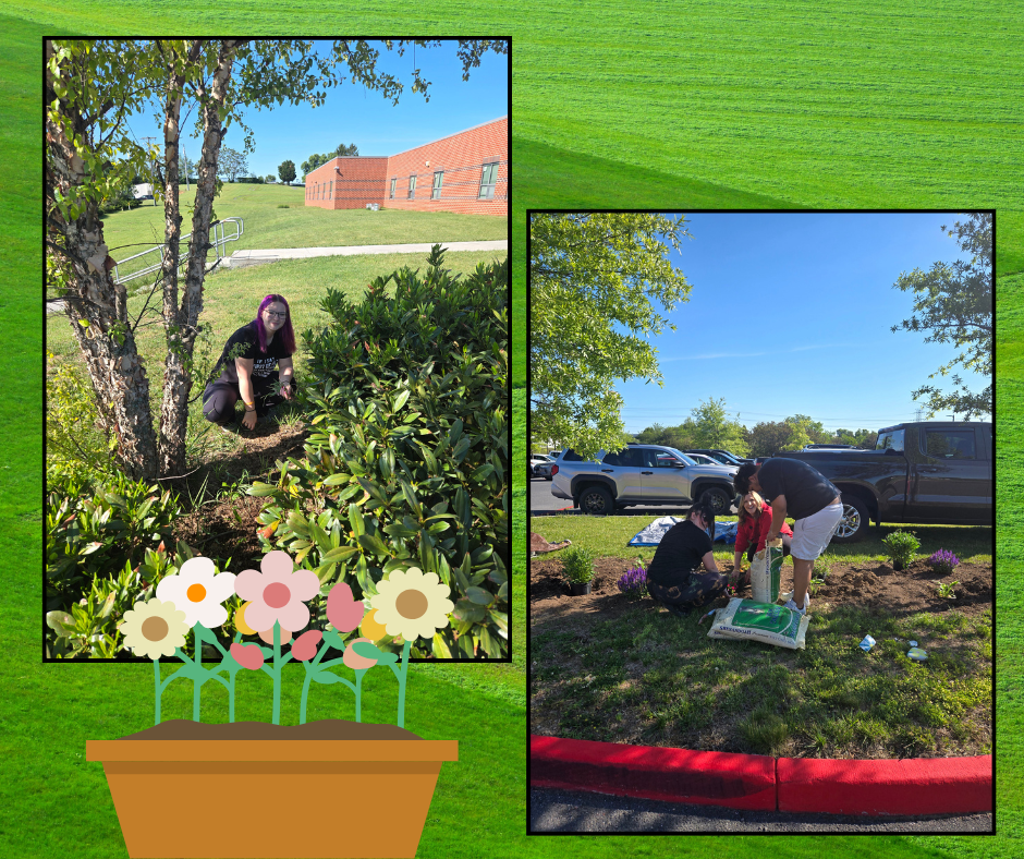 Two photos showing individuals planting flowers and shrubs, with a building and parked vehicles in the background.