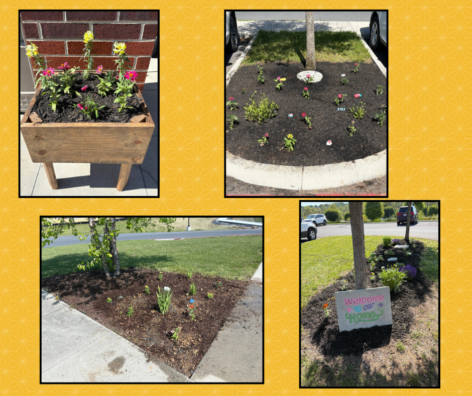 Four photos of a garden. One shows flowers in a planter, another shows a flower bed. One shows a sign.