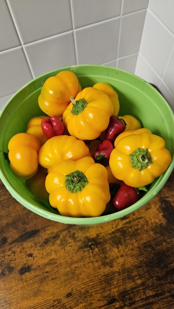 Sweet Peppers