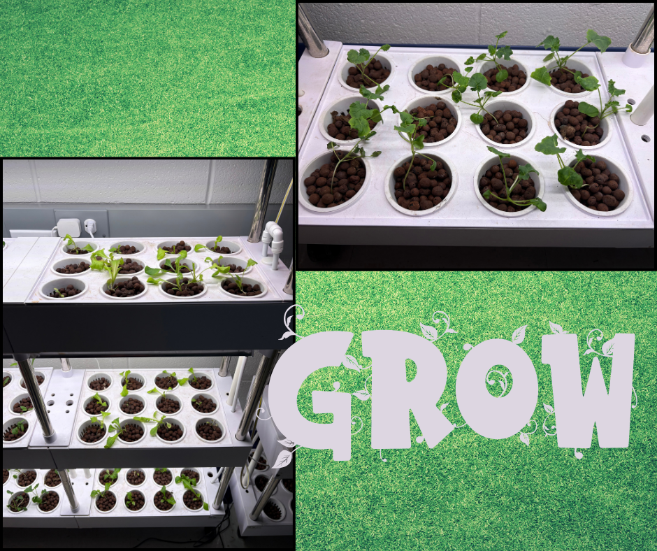 Three images of a multi-tier indoor plant setup with green background and "GROW" text. Each tier has several small plants in pots.