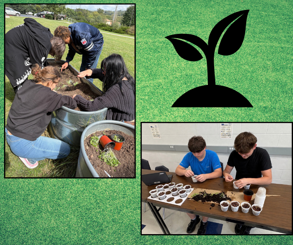 Three collage images: people planting in a garden, a plant icon, and two people planting in small pots.