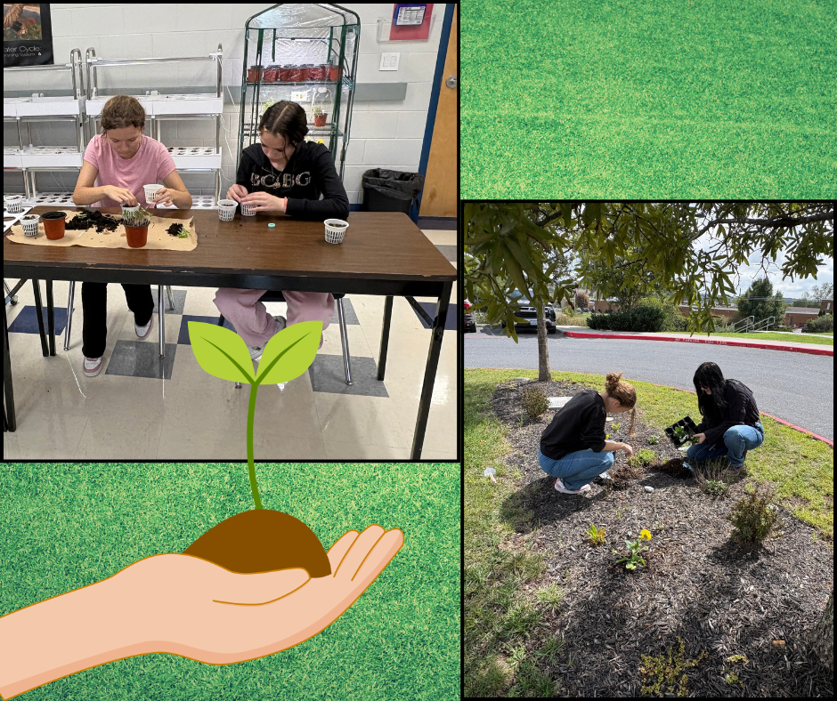Four people work with plants. Two indoors at a table, two outdoors in a garden. A hand holds a potted sprout.