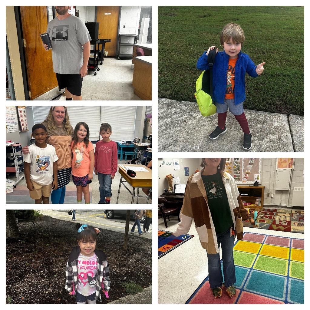 Collage showing students and staff dressed up and participating in Wacky Tacky Day