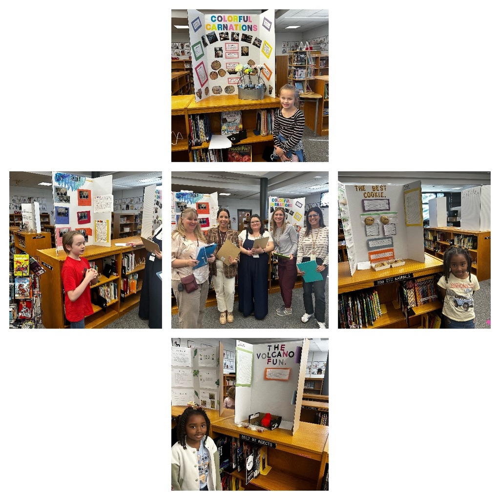 Collage of students standing with their Science fair projects