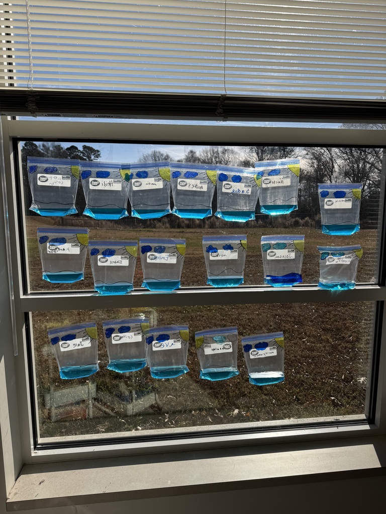 Water cycle bags up against the window.