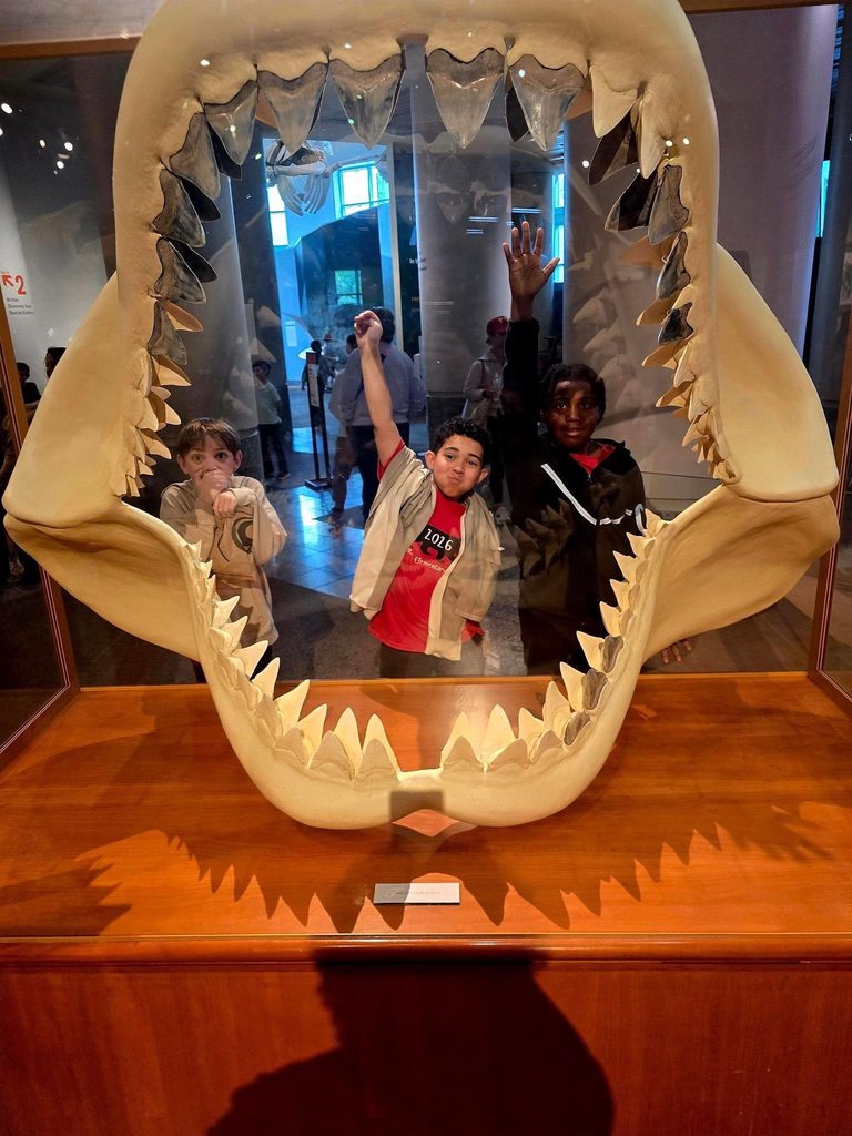 "Three young boys playfully pose in front of a large transparent display case containing a massive white reconstruction of a megalodon shark's jaws with pointed teeth. A wooden plaque identifies it as a reconstruction based on fossil teeth. One boy covers his mouth in surprise, while the others raise their arms in excited gestures. The boy in the center wears a red t-shirt labeled '2026 Elementary.' A modern, bright museum interior with other exhibits is visible in the background."