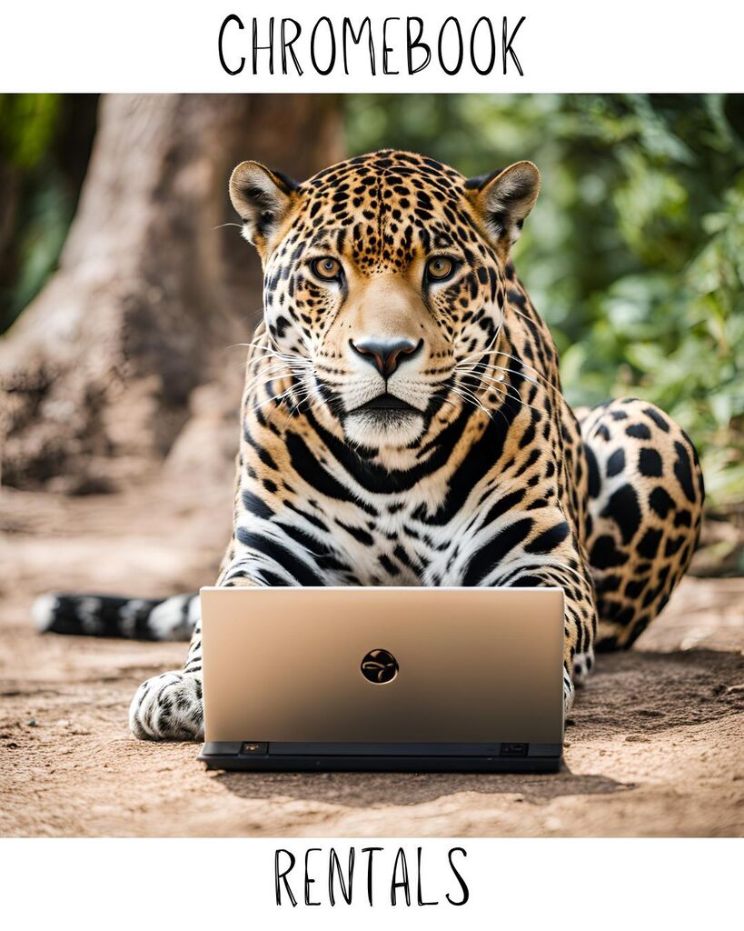 jaguar using a chromebook image for chromebook rentals
