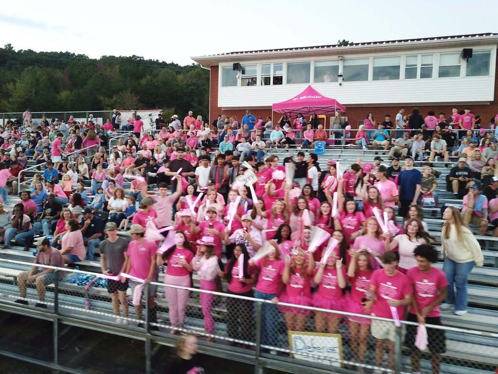 T-Mobile night at McMichael High School- A group of students all wearing pink and cheering from the bleachers