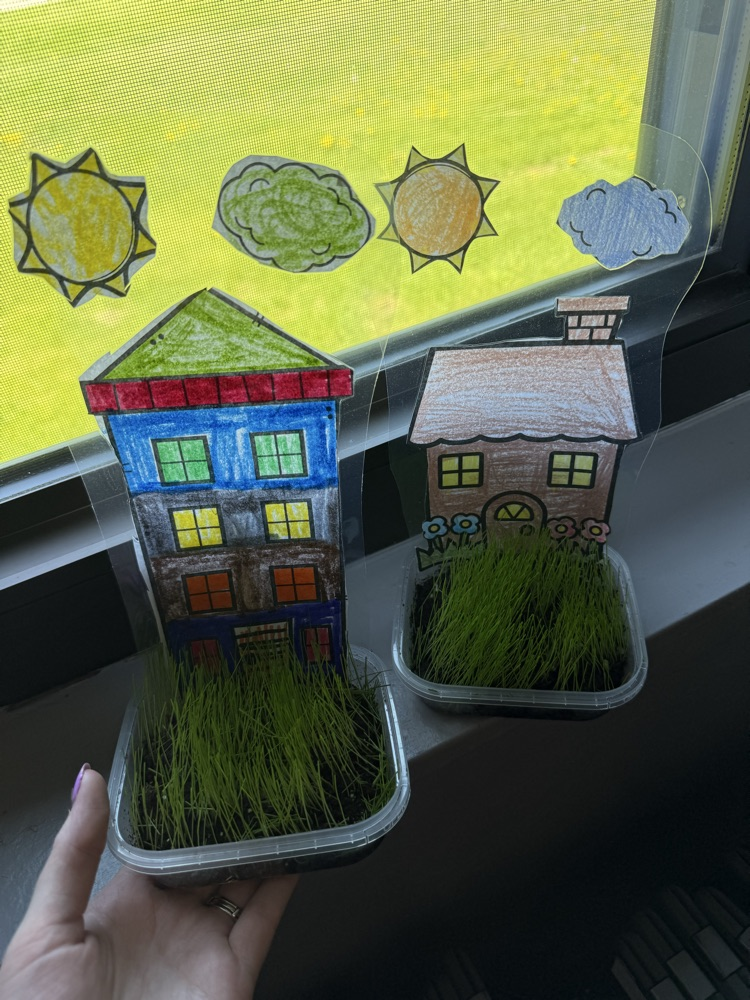 missing students projects