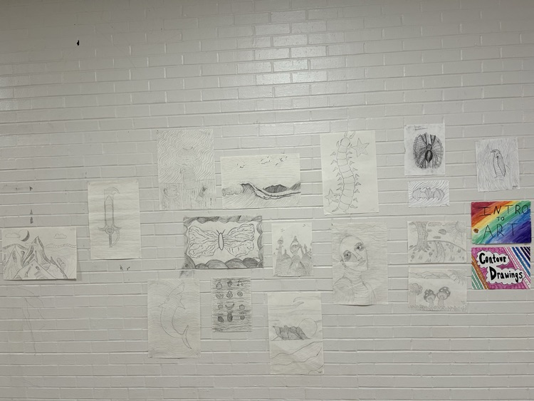 Intro to arts contour drawings