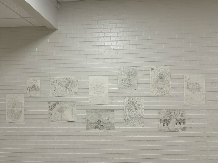 Intro to arts contour drawings
