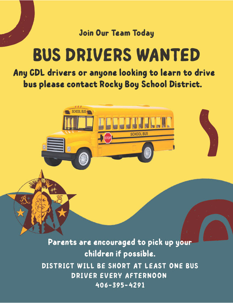 bus driver