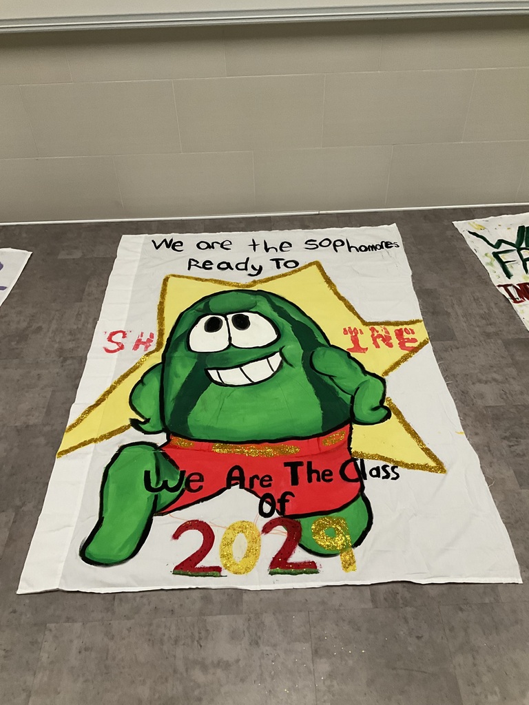 Class of 2029 banner