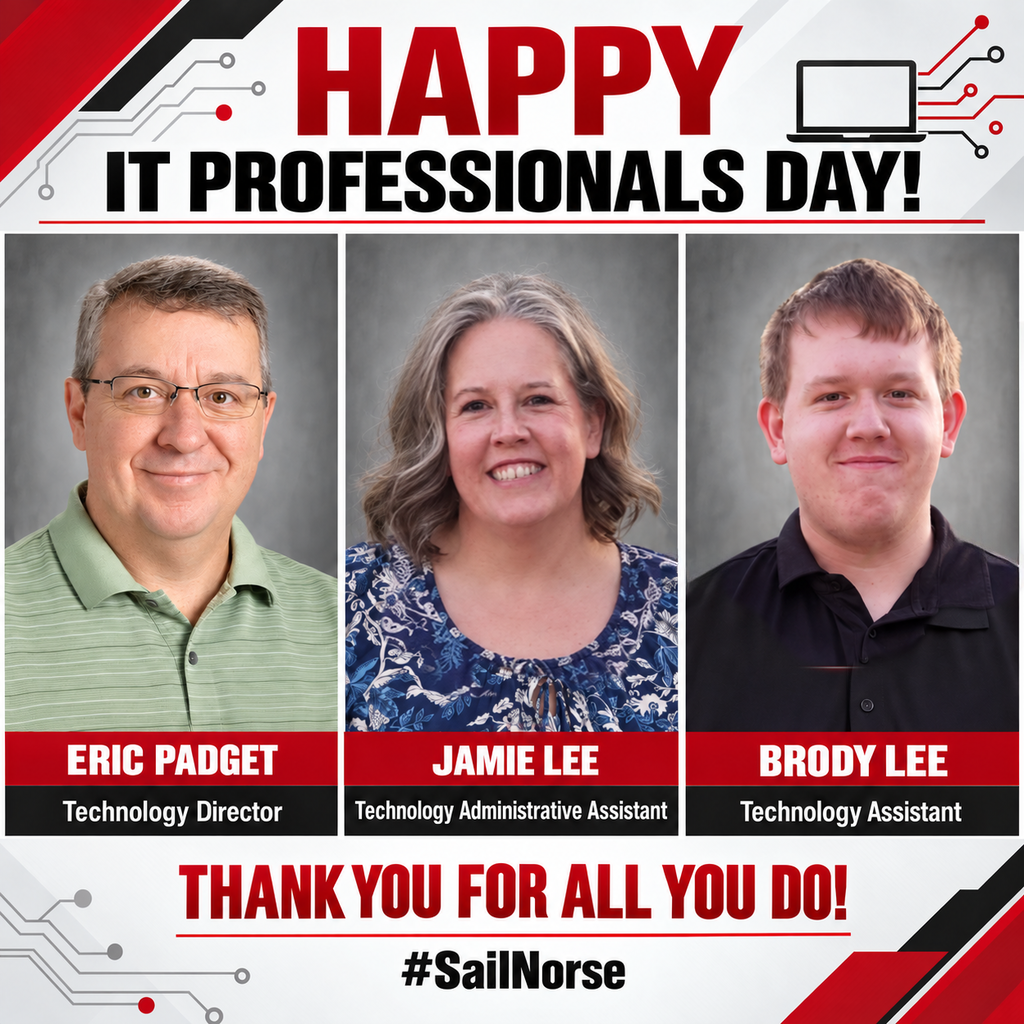 IT professionals day