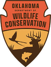 wild life 