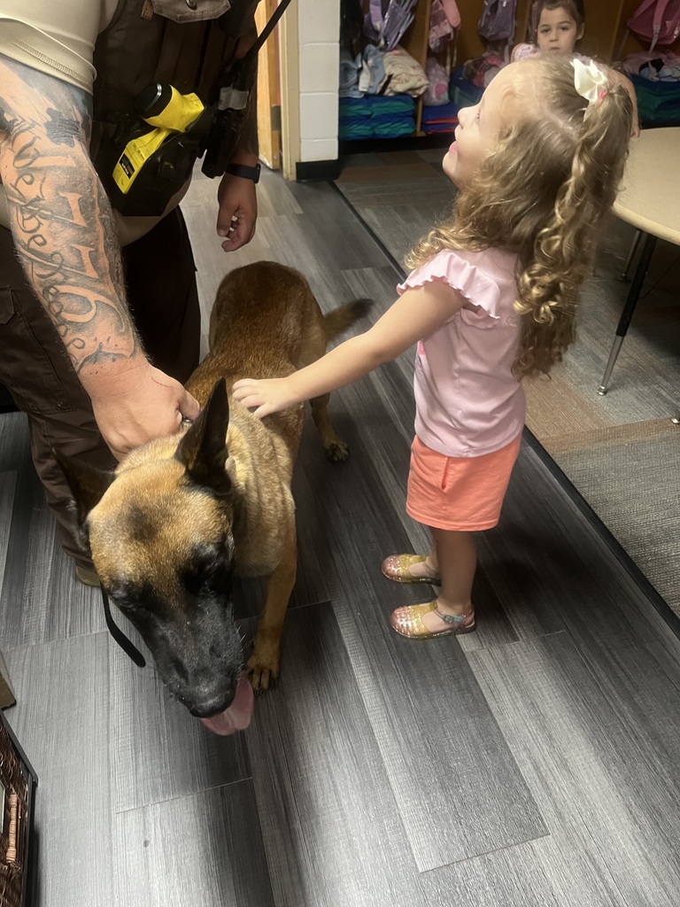 Students petting a dog