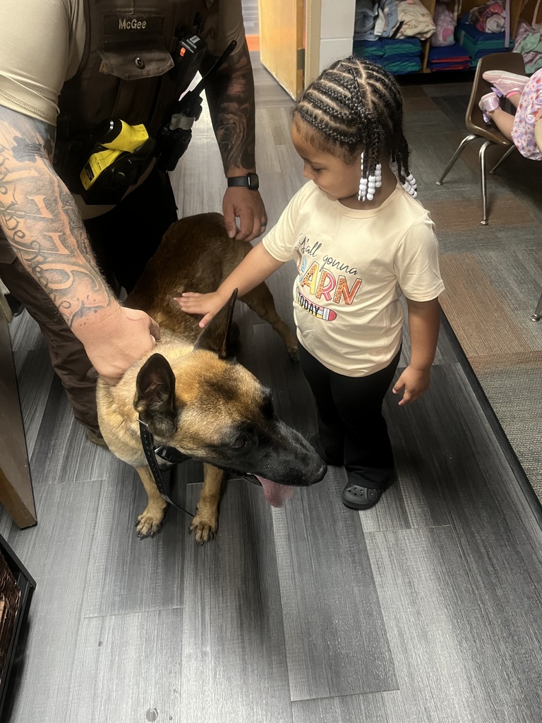 Students petting a dog