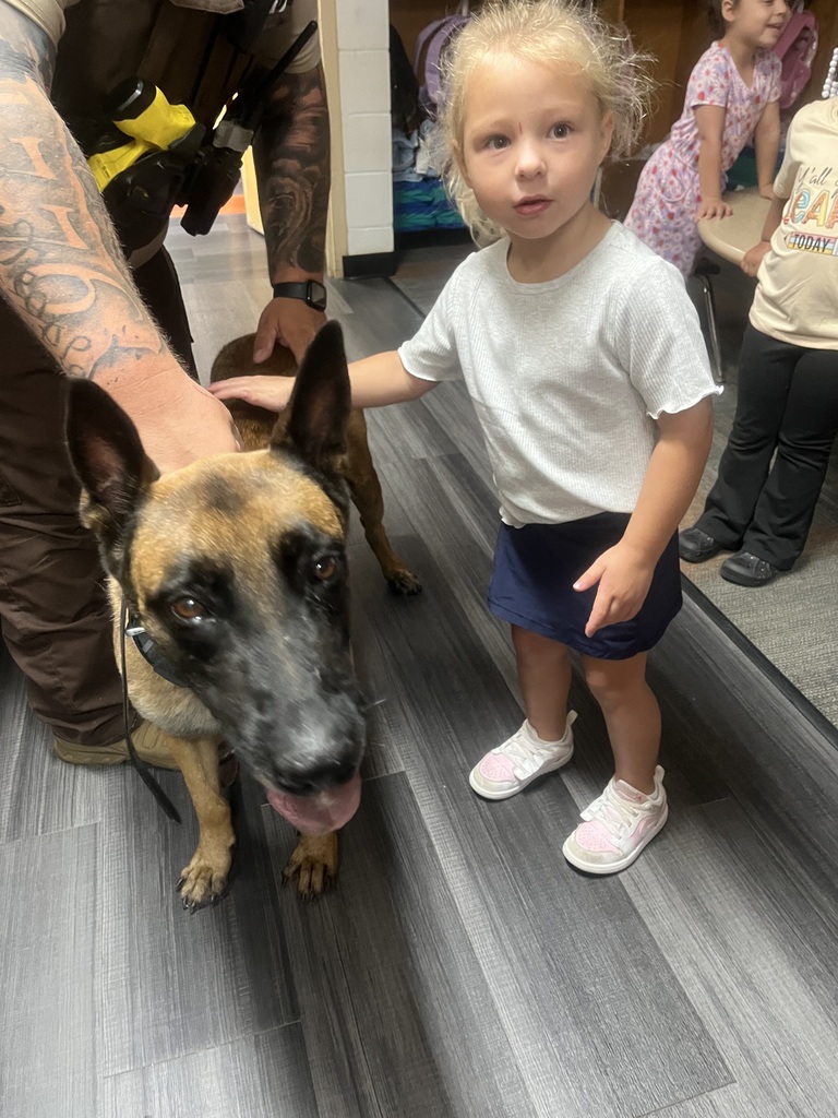 Students petting a dog