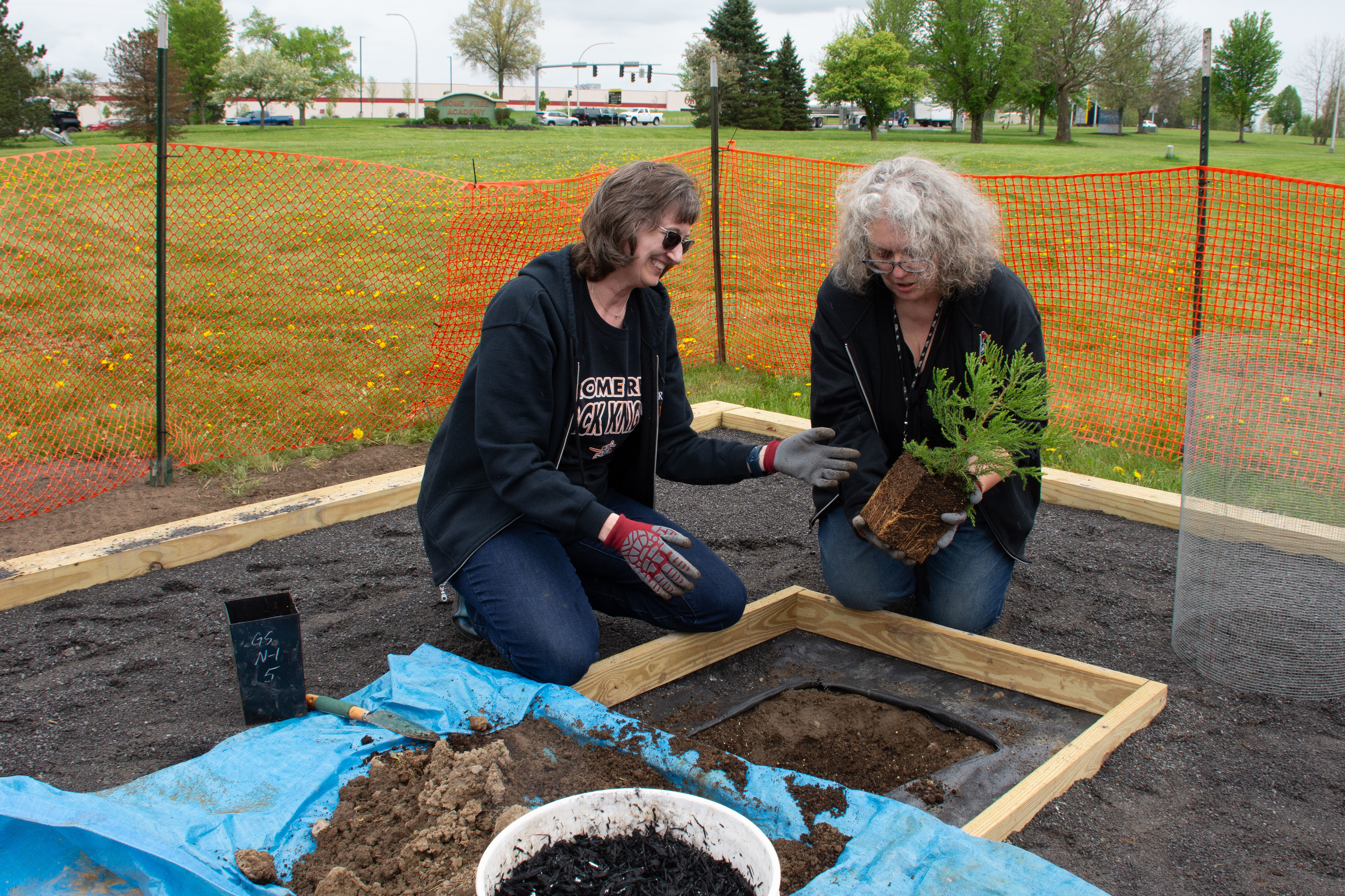 Living piece of history: Moon tree 'Arti' now growing at RFA