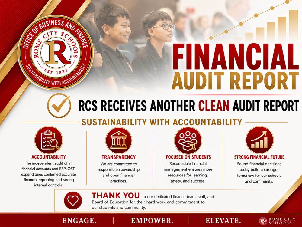 Financial audit report