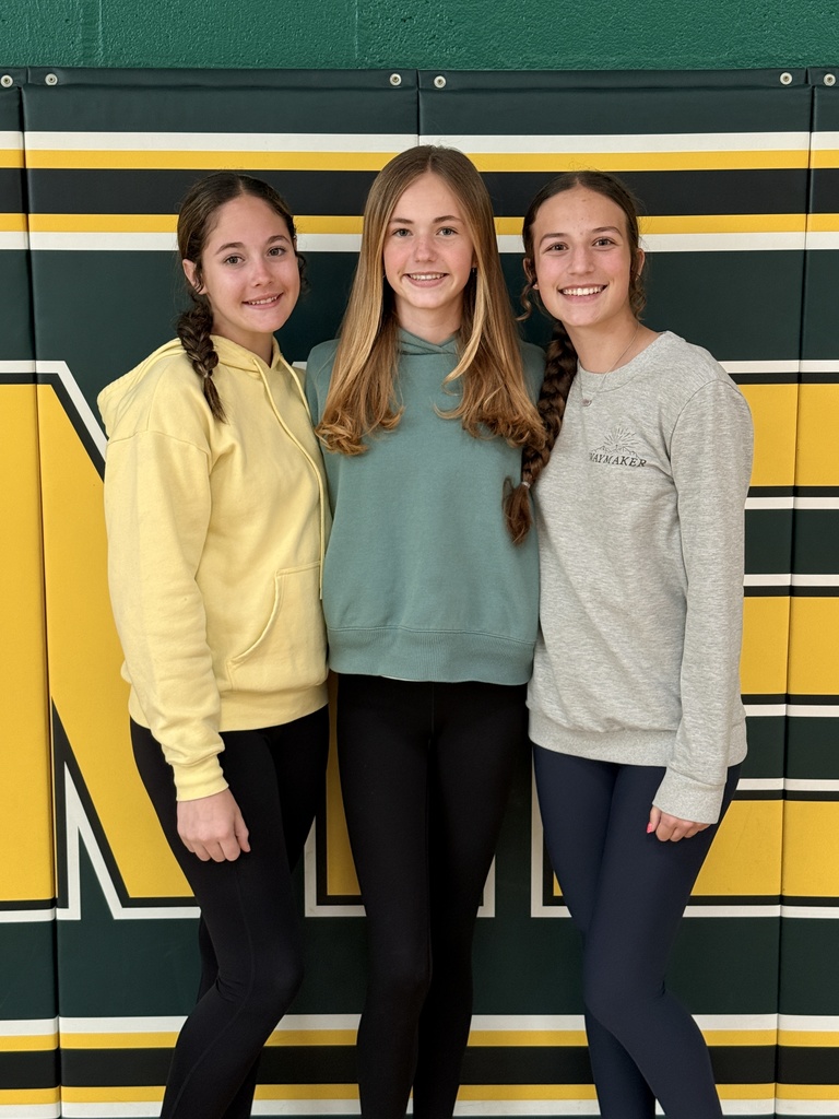 volleyball all star players