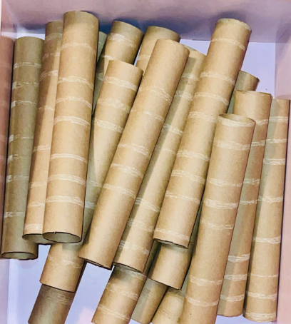 Empty Paper Towel Rolls 