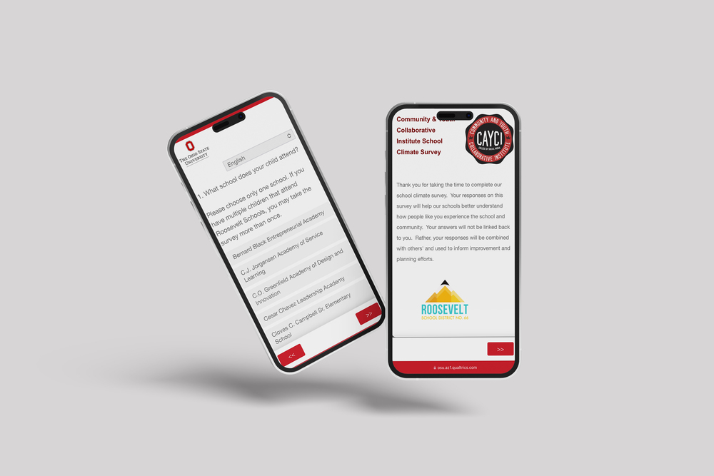 cell phone with image of survey on screen