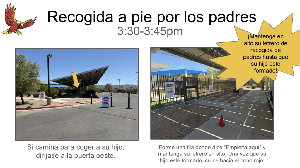 Recogida a pie