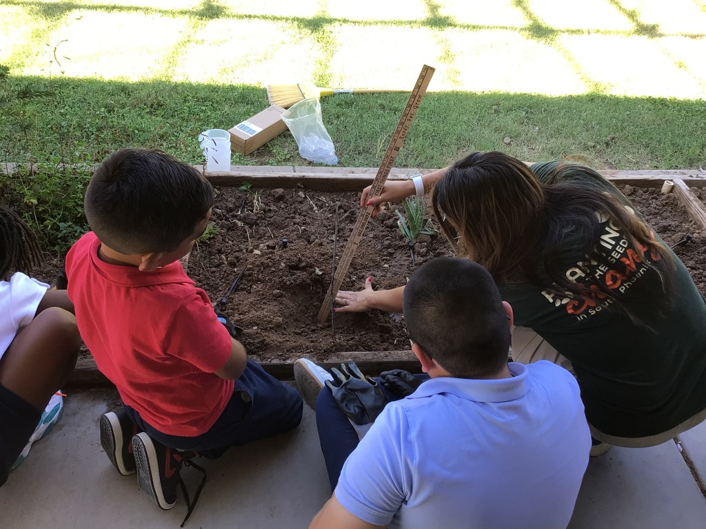 How deep should we plant?