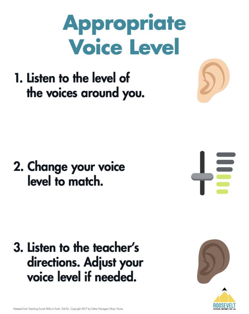 Appropriate Voice Level