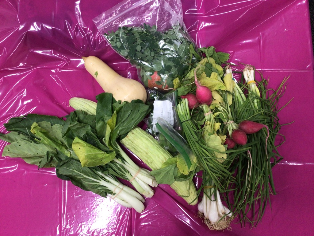 Vegetables from Spaces of Opportunity