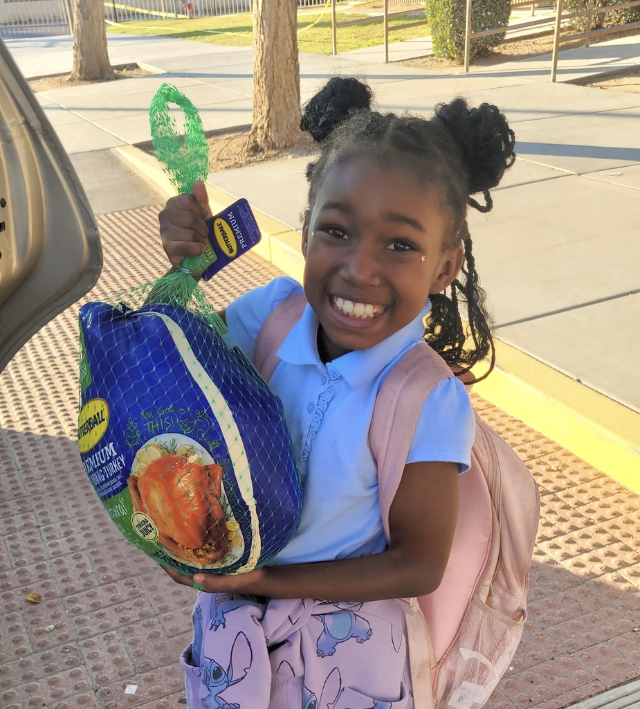 This turkey is too heavy!