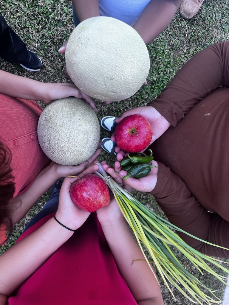 Spaces of Opportunity helping to teach our students about growing food