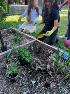 2 girls with shovels digging holes for their plants