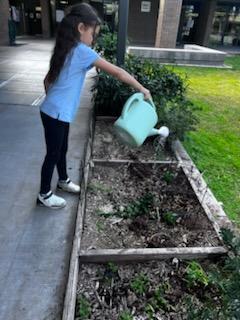 girl with watering can watering flowers
