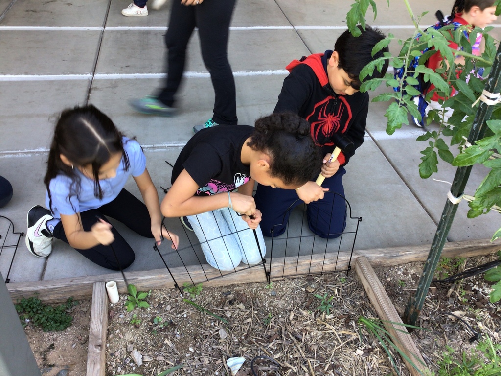 2 girls and 1 boy staking fencing