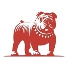 Bulldog
