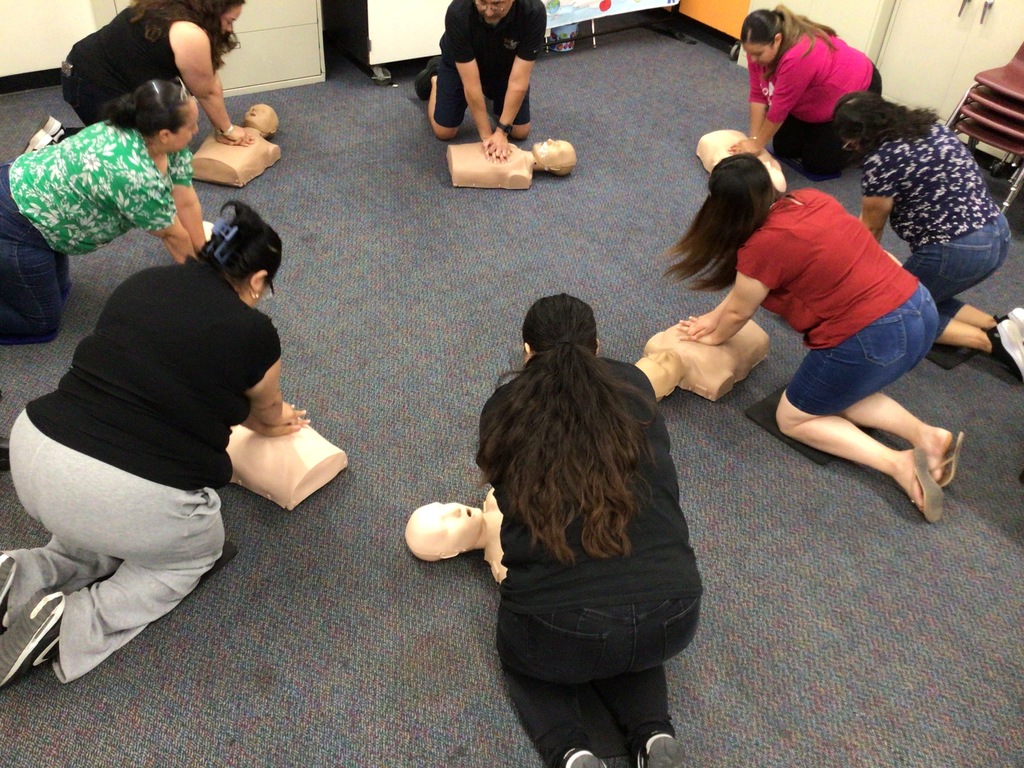 8 Adults on floor practicing CPR on mannequins