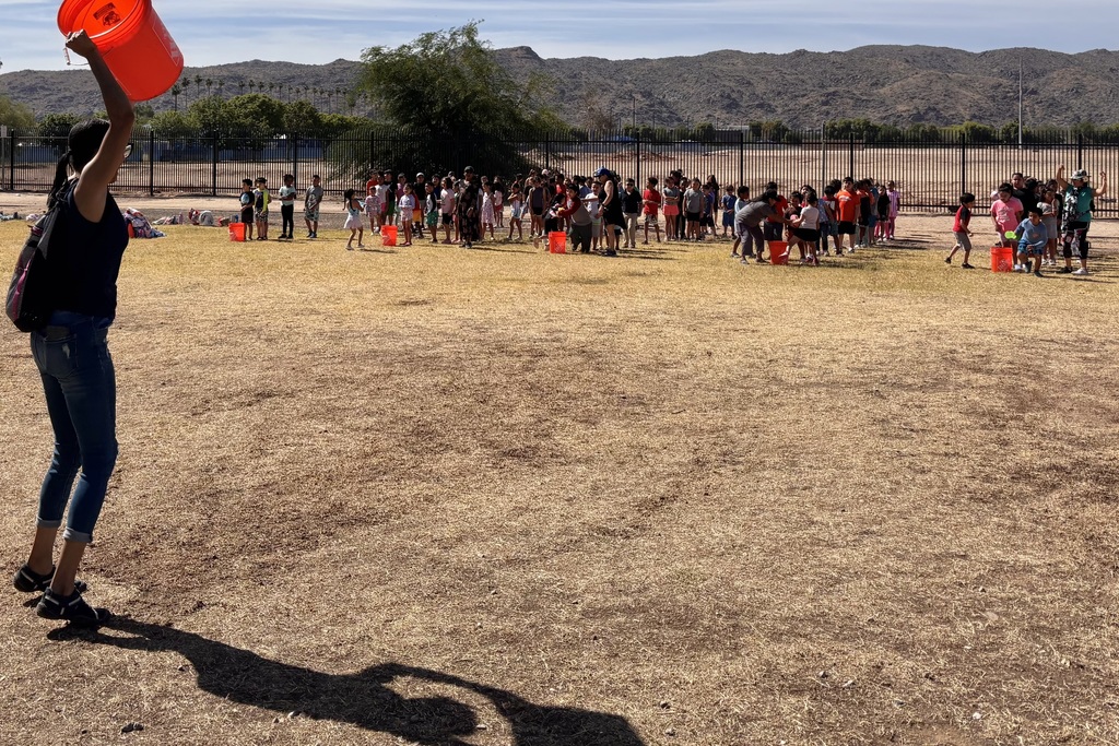 field day 