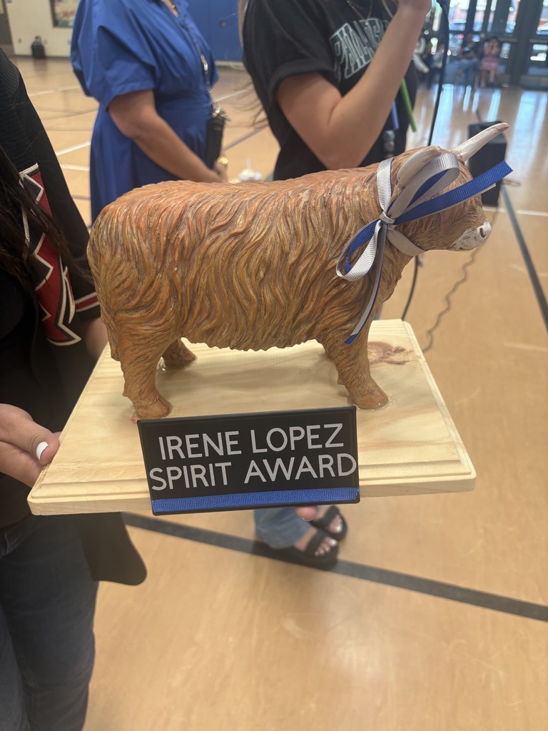 The Bull Spirit Award