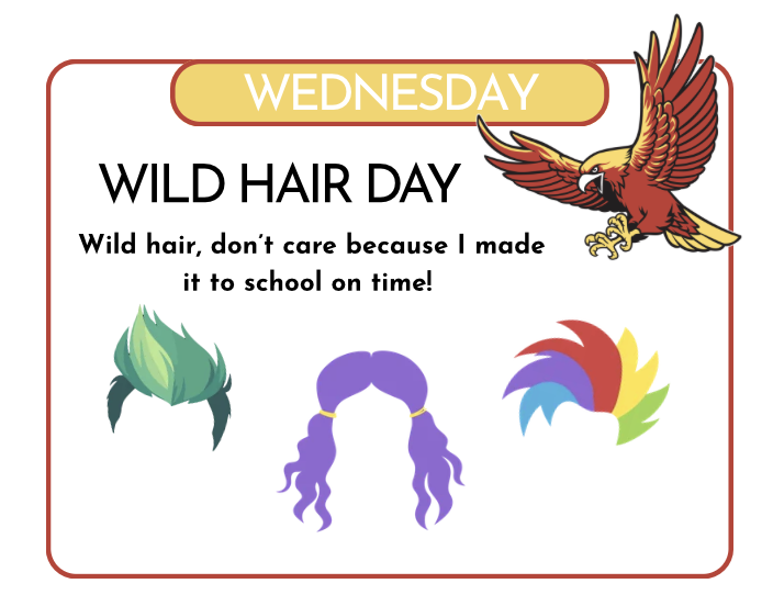 Wednesday is Wild Hair Day! Wild hair, don't care because I made it to school on time!