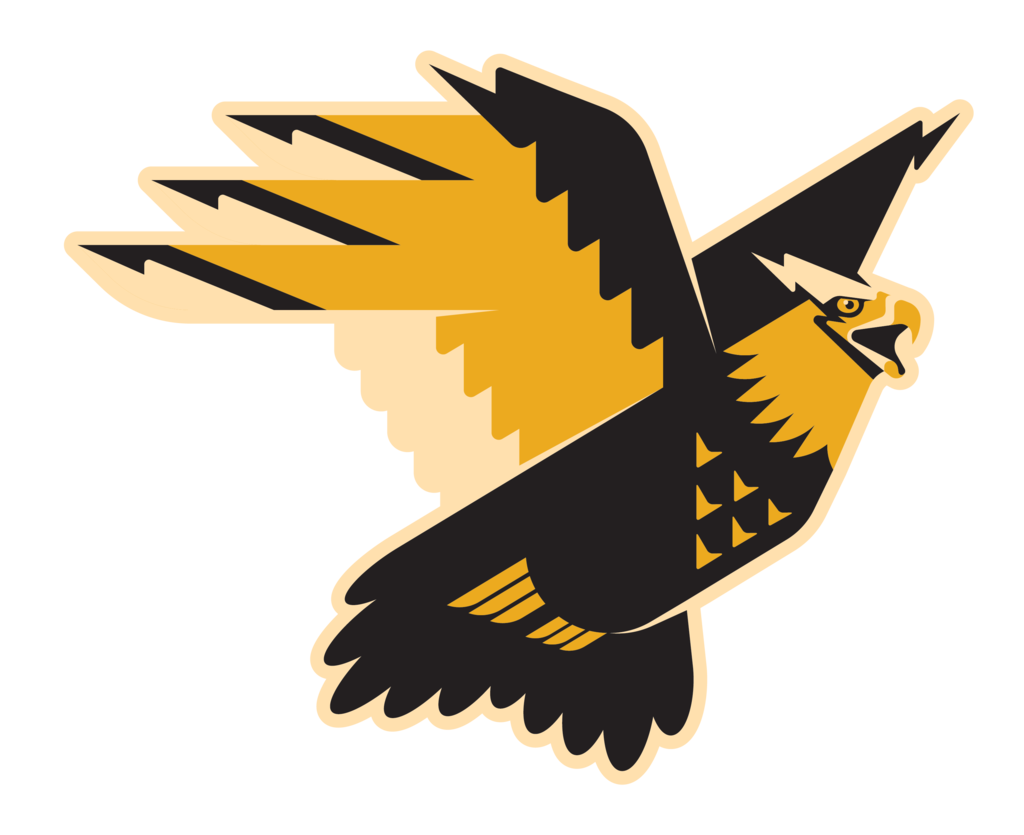 black and yellow thunderbird mascot