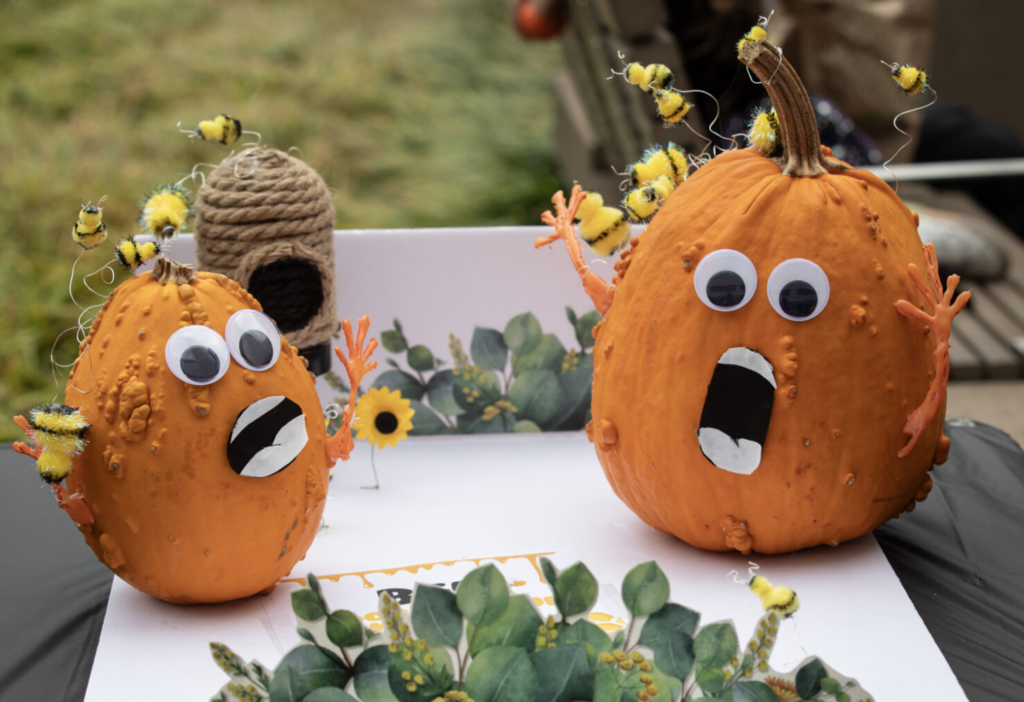 pumpkins